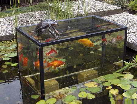 Aquarium op de vijver