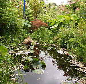 Natuurlijke waterpartij