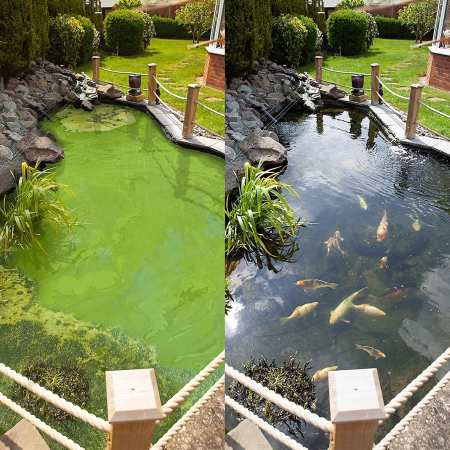Groene vijver helder maken
