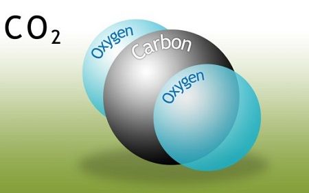 CO2: voedingsbron voor zuurstofplanten vijver