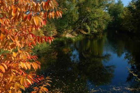 Onderhoud vijver herfst