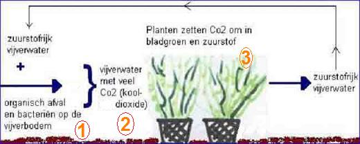 Biologisch evenwicht