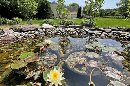 Helder vijver door hoge waterhardheid